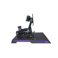 CONSPIT CPP-Lite 2-Pedal Version