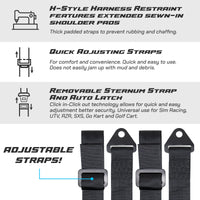 Apevie Simulator 4-Point Harness