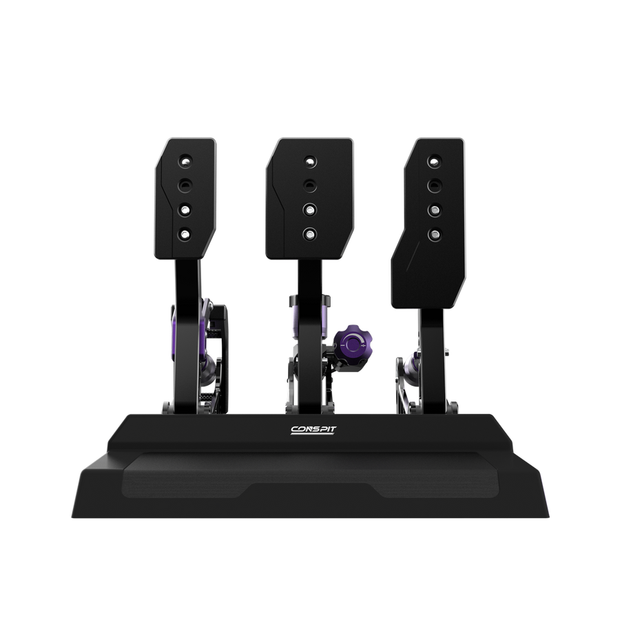 CONSPIT CPP-Lite 2-Pedal Version